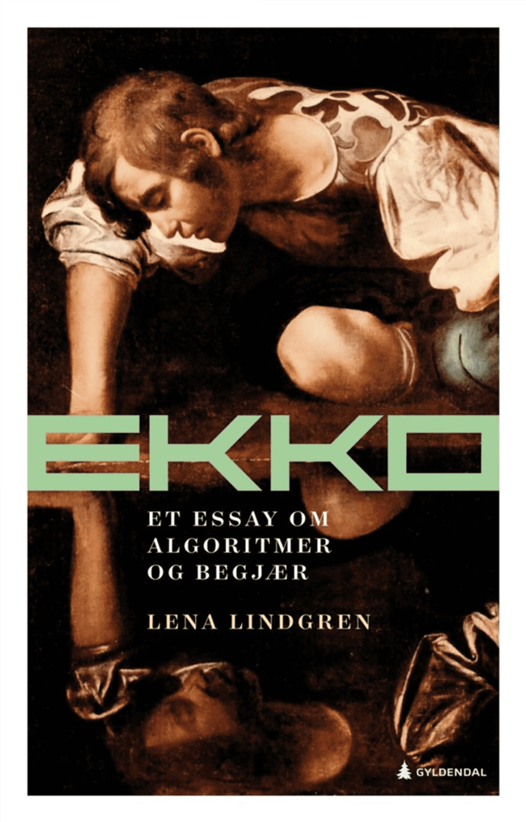 bokforside - Ekko. Et essay om algoritmer og begjær av Lena Lindgren fra 2021. Nominert til Bibliotekets litteraturpris. En dame ser ned i et speilbilde