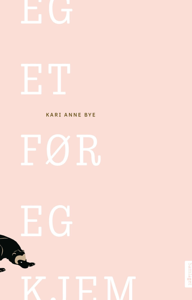 Forsiden av boken Eg et før eg kjem (2020) av Kari Anne Bye