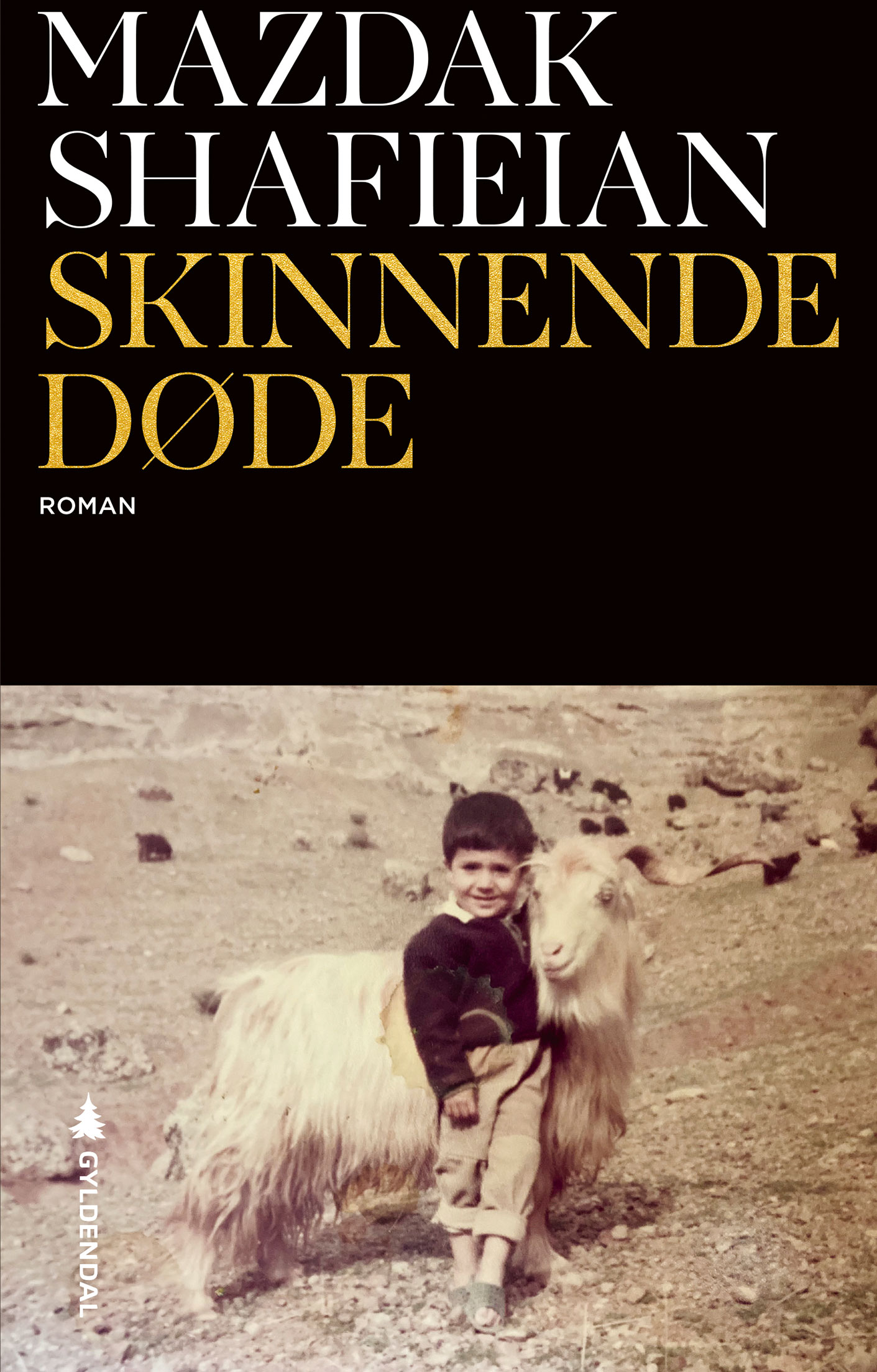 Skinnende døde (2022) Mazdak Shafieian